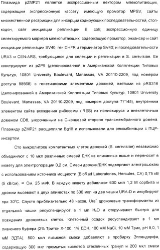 Выделенный полипептид, обладающий антивирусной активностью (варианты), кодирующий его полинуклеотид (варианты), экспрессирующий вектор, рекомбинантная клетка-хозяин, способ получения полипептида, антитело, специфичное к полипептиду, и фармацевтическая композиция, содержащая полипептид (патент 2321594)