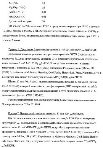 Способ получения l-треонина с использованием бактерии, принадлежащей к роду escherichia, обладающей усиленной экспрессией оперона fucpikur (патент 2318870)