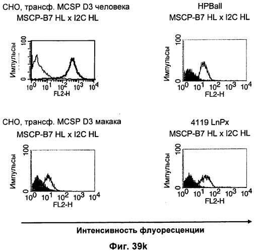 Pscaxcd3, cd19xcd3, c-metxcd3, эндосиалинxcd3, epcamxcd3, igf-1rxcd3 или fap-альфаxcd3 биспецифическое одноцепочечное антитело с межвидовой специфичностью (патент 2547600)