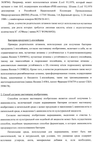 Способ получения l-треонина с использованием бактерии, принадлежащей к роду escherichia, в которой инактивирован оперон ycbponme (оперон ssueadcb) (патент 2392326)