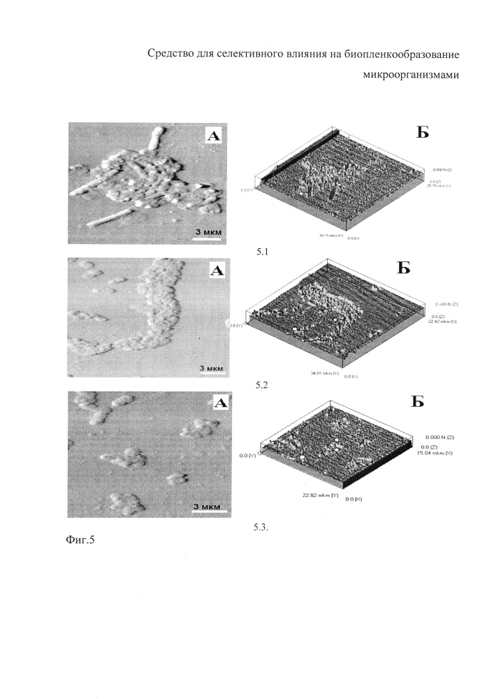 Средство для селективного влияния на биопленкообразование микроорганизмами (патент 2646488)