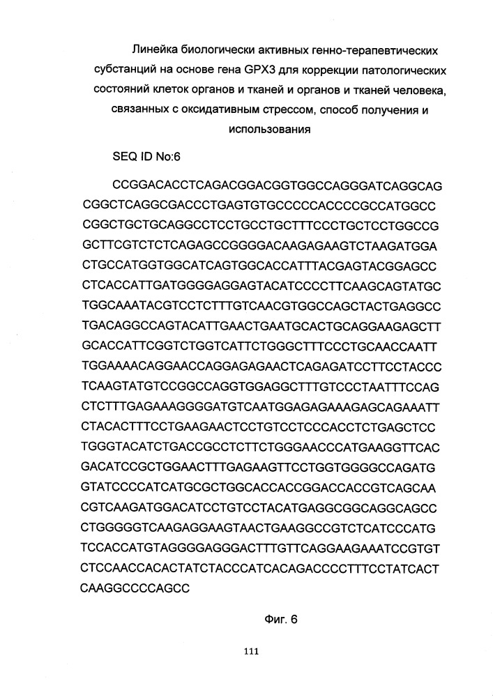 Средство для коррекции патологических состояний клеток органов и тканей и/или органов и тканей человека, на основе гена gpx3, связанных с оксидативным стрессом, способ получения и использования (патент 2651758)
