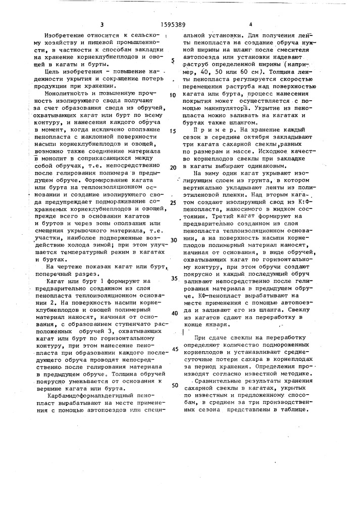 Способ закладки на хранение корнеклубнеплодов и овощей (патент 1595389)