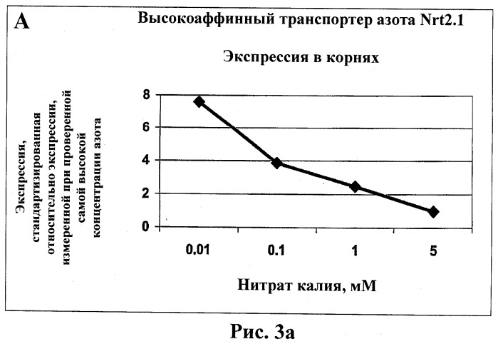 Изолированные полипептиды, кодирующие их полинуклеотиды, экспрессирующие их трансгенные растения и способы их использования (патент 2487166)