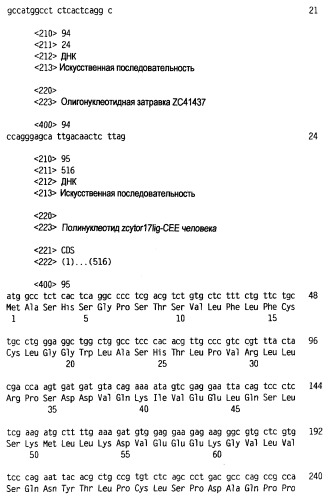 Новый лиганд рецептора цитокина zcytor17 (патент 2360923)