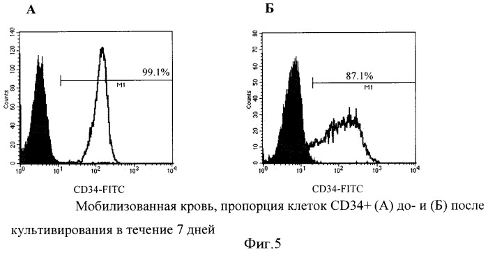 Способ увеличения количества гемопоэтических недифференцированных стволовых клеток пациента ex vivo (патент 2360965)