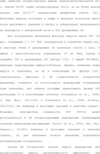 Нацеливание на антигенпрезентирующие клетки иммунонанотерапевтических средств (патент 2497542)