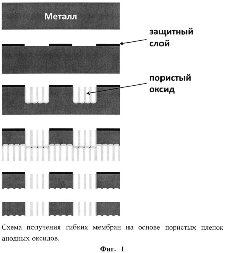 Способ получения гибкой нанопористой композиционной мембраны с ячеистой структурой из анодного оксида металла или сплава (патент 2545887)