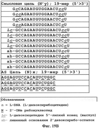 Новые структуры малых интерферирующих рнк (sirna) (патент 2487716)