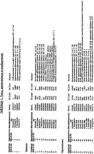 Гены corynebacterium glutamicum, кодирующие белки, участвующие в гомеостазе и адаптации (патент 2304616)