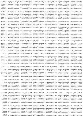 Применение s1p (патент 2362565)