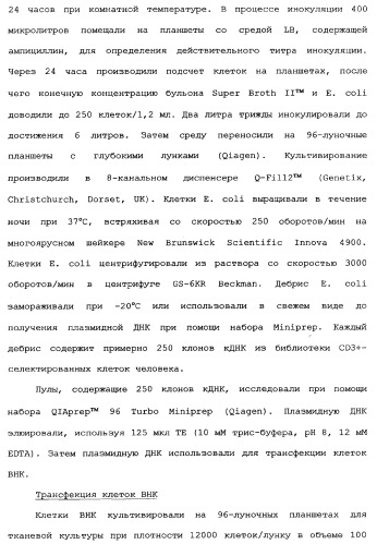 Новый лиганд рецептора цитокина zcytor17 (патент 2360923)