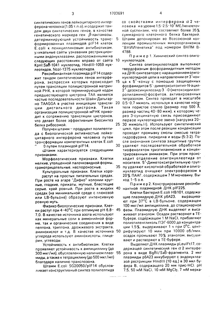 Рекомбинантная плазмидная днк @ 14, кодирующая полипептид, со свойствами лейкоцитарного интерферона @ 2 человека, и штамм бактерий еsснеriснiа coli - продуцент полипептида со свойствами лейкоцитарного интерферона @ 2 человека (патент 1703691)