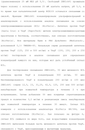 Модифицированные варианты ингибиторов протеаз bowman birk (патент 2509776)