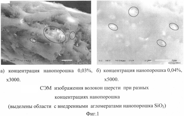 Способ повышения водоотталкивающих свойств войлочных материалов гидрофобными наночастицами диоксида кремния (патент 2579207)