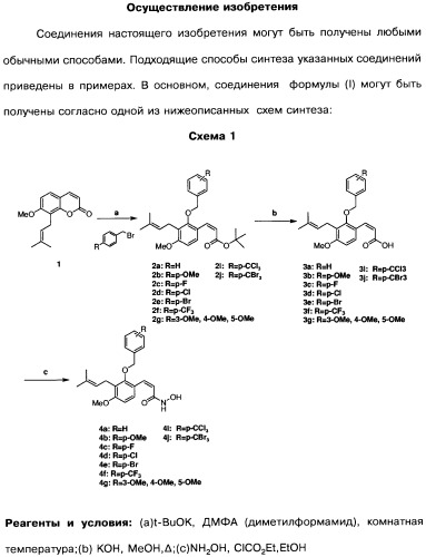 Соединения коричной кислоты (варианты), промежуточные соединения для их получения, фармацевтическая композиция на их основе, способ ингибирования гистоновой деацетилазы, способ лечения диабета, способ лечения опухоли или заболевания, связанного с пролиферацией клеток, способ усиления роста аксонов и способ лечения нейродегенеративных заболеваний и спинной мышечной атрофии (патент 2492163)