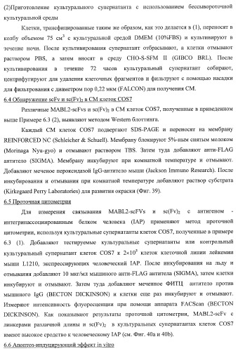 Днк, кодирующая модифицированное антитело или соединение с активностью агониста тро, способ их получения и животная клетка или микроорганизм, их продуцирующие (патент 2422528)