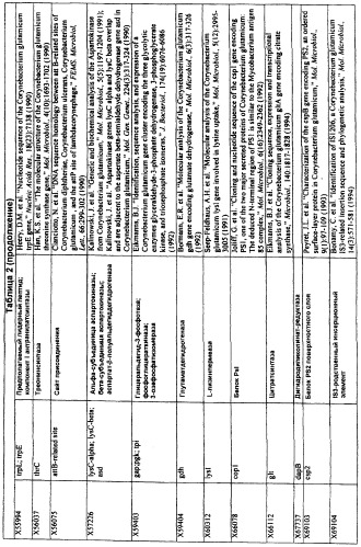 Гены corynebacterium glutamicum, кодирующие белки, участвующие в гомеостазе и адаптации (патент 2304616)