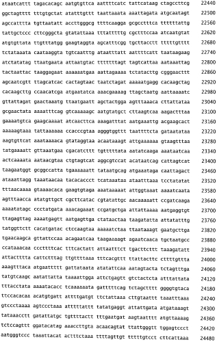 Бактериофаг, обладающий активностью против pseudomonas aeruginosa, белки бактериофага и способы их применения (патент 2580248)