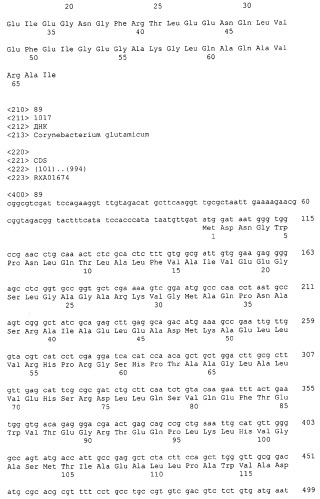 Гены corynebacterium glutamicum, кодирующие белки резистентности и толерантности к стрессам (патент 2303635)