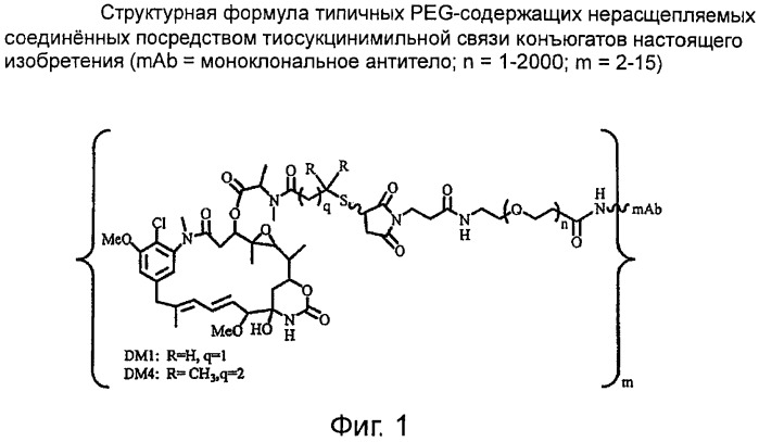 Высокоэффективные конъюгаты и гидрофильные сшивающие агенты (линкеры) (патент 2487877)