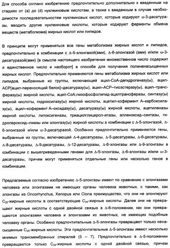 Способ получения полиненасыщенных кислот жирного ряда в трансгенных организмах (патент 2447147)