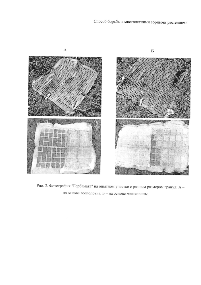 Способ борьбы с многолетними сорными растениями (патент 2594517)