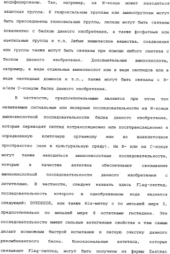 Ее3-семейство белков и соответствующие днк-последовательности (патент 2333918)