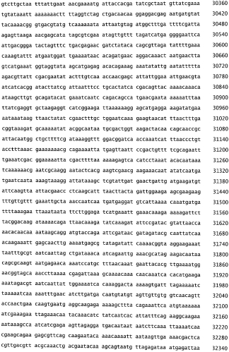 Бактериофаг, обладающий активностью против pseudomonas aeruginosa, белки бактериофага и способы их применения (патент 2580248)