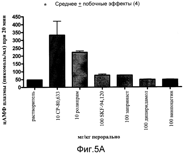 Трансгенное животное, отличное от человека, и его применения (патент 2579701)