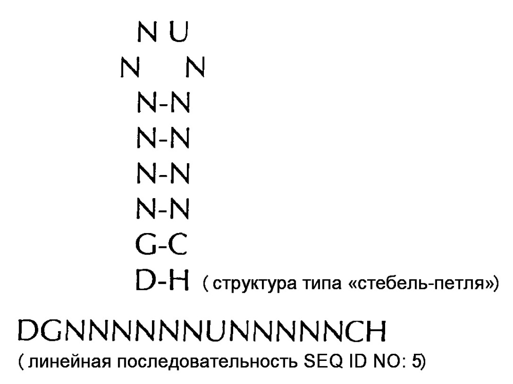 Нуклеиновая кислота, содержащая или кодирующая гистоновую структуру типа"стебель-петля" и поли(а)-последовательность или сигнал полиаденилирования, для увеличения экспрессии кодируемого опухолевого антигена (патент 2650795)