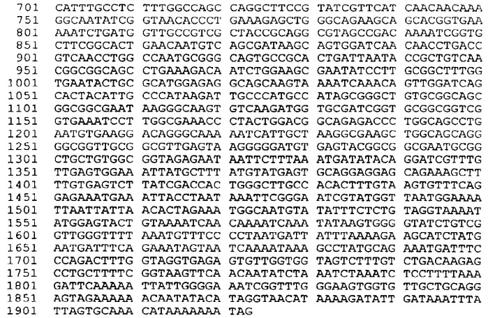 Антигены neisseria meningitidis (патент 2343159)