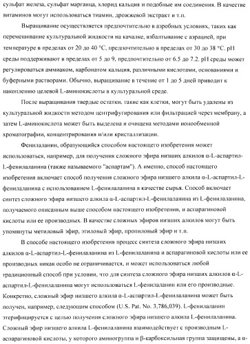 Способ получения аминокислот с использованием бактерии, принадлежащей к роду escherichia (патент 2396336)