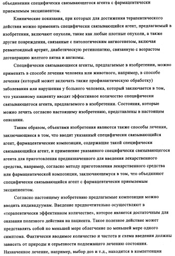 Избирательный направленный перенос в сосудистую сеть опухоли с использованием молекул антител (патент 2347787)