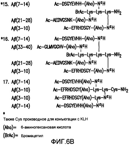 Композиции пептидного конъюгата и способы для профилактики и лечения болезни альцгеймера (патент 2406529)