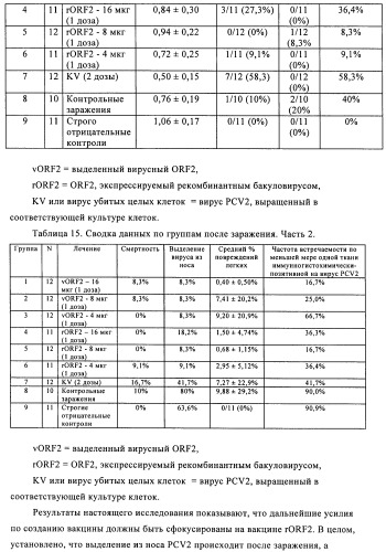 Поливалентные иммуногенные композиции pcv2 и способы получения таких композиций (патент 2488407)