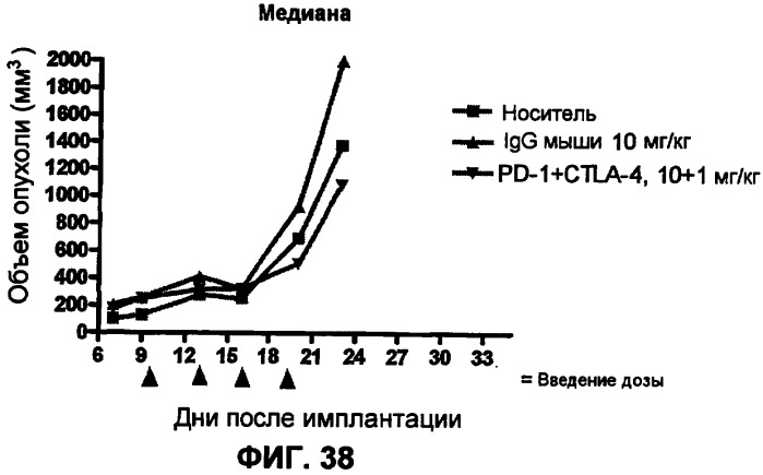 Моноклональные антитела человека к белку программируемой смерти 1 (pd-1) и способы лечения рака с использованием анти-pd-1-антител самостоятельно или в комбинации с другими иммунотерапевтическими средствами (патент 2406760)