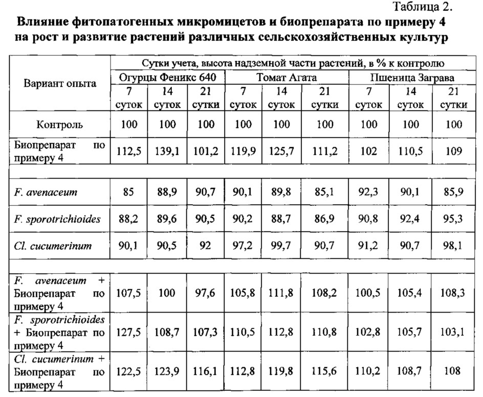 Биопрепарат для стимуляции роста растений и их защиты от фитопатогенов на основе штаммов trichoderma, штаммы trichoderma для его производства (варианты), способ получения биопрепарата на основе таких штаммов (патент 2607785)