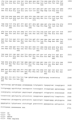 Пептиды эпитопов mybl2 и содержащие их вакцины (патент 2496787)