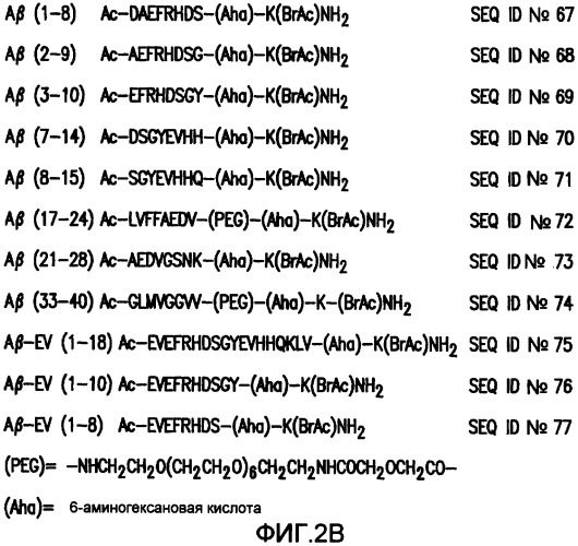 Композиции пептидного конъюгата и способы для профилактики и лечения болезни альцгеймера (патент 2406529)