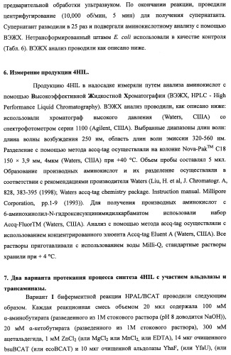 Способ производства 4-гидрокси-l-изолейцина или его соли (патент 2355767)
