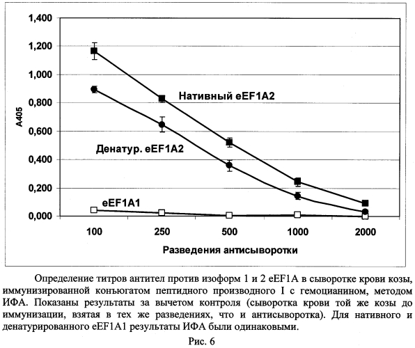 Синтетический пептид для получения моноспецифичных антител против изоформы 2 эукариотического фактора элонгации трансляции 1а (патент 2562880)