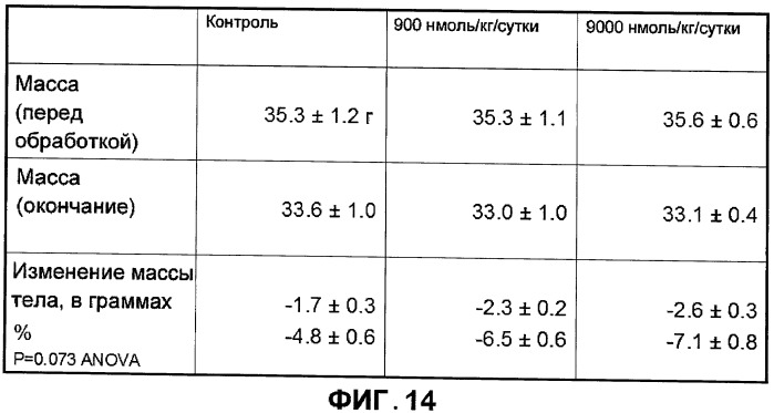 Новый пептид, участвующий в энергетическом гомеостазе (патент 2409590)