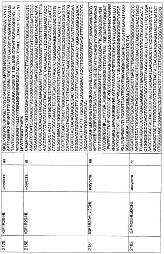 Pscaxcd3, cd19xcd3, c-metxcd3, эндосиалинxcd3, epcamxcd3, igf-1rxcd3 или fap-альфаxcd3 биспецифическое одноцепочечное антитело с межвидовой специфичностью (патент 2547600)