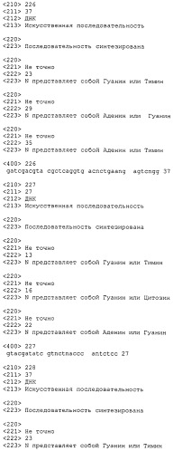 Антитела против bv8 и их применение (патент 2559542)