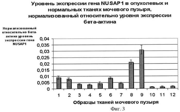 Способ оценки эффективности терапии рака мочевого пузыря с помощью онкомаркера nusap1 (патент 2468372)