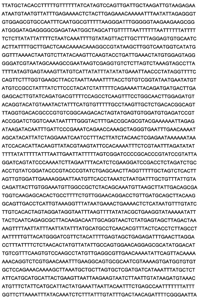 Изопропилмалат синтаза из nicotiana tabacum и способы и ее применение (патент 2644238)