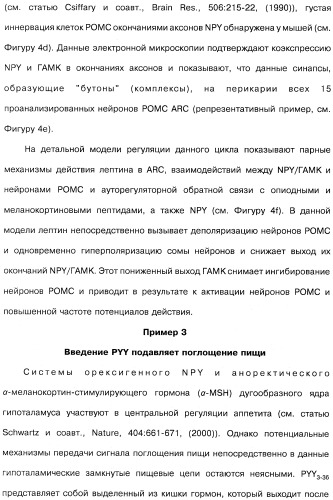 Способ модификации пищевого поведения и применение pyy или его агониста в качестве средства для модификации пищевого поведения (патент 2317104)