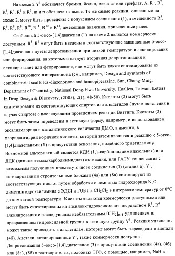 Производные диазепана в качестве модуляторов хемокиновых рецепторов (патент 2439065)