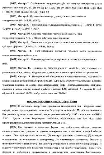 Гиалуронидаза и способ ее применения (патент 2471867)
